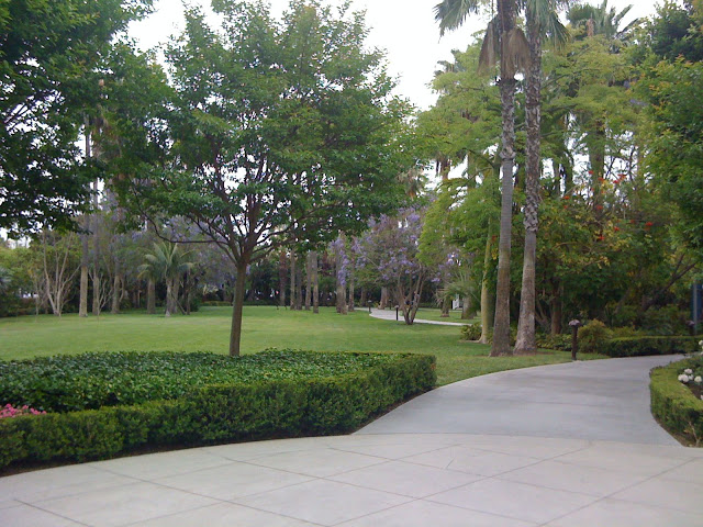 Adventure Lawn at The Disneyland Hotel